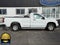 2024 Chevrolet Silverado 1500 2WD Reg Cab 140" Work Truck