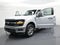 2025 Ford F-150 XLT 4WD SuperCrew 5.5' Box