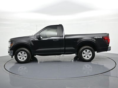 2024 Ford F-150 XL